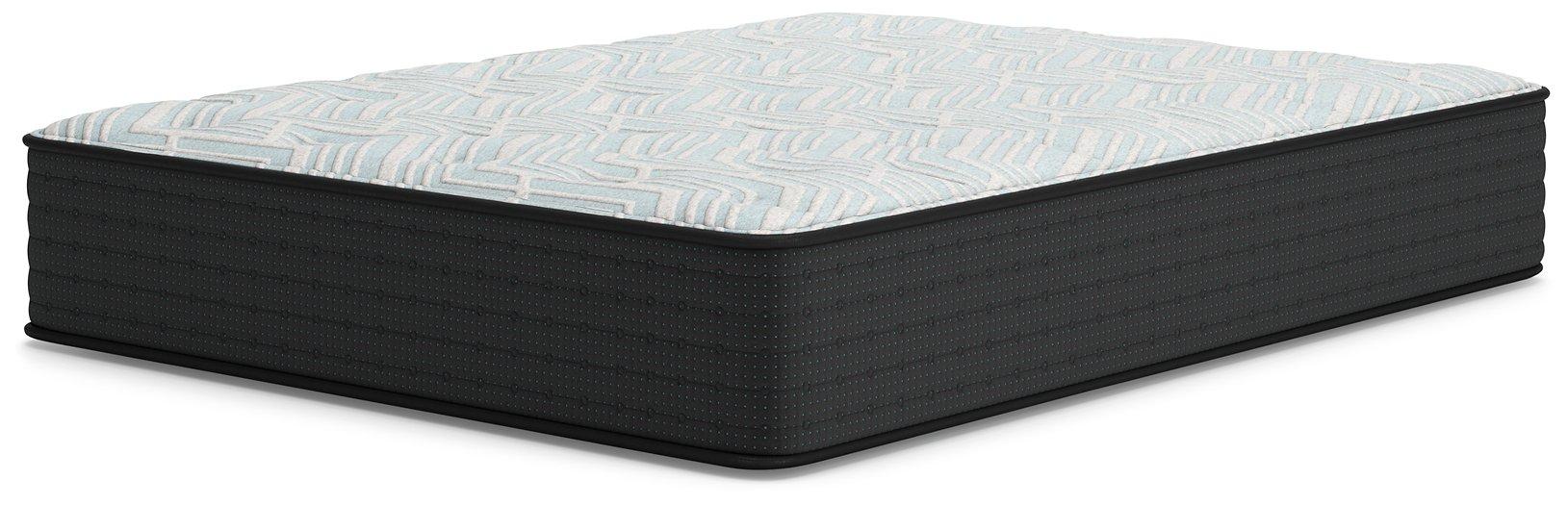 Palisades Plush Mattress - Zara Furniture (Kissimmee,FL)