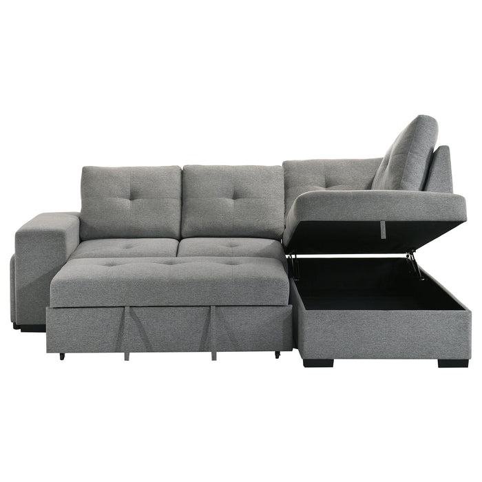 Roanne Pull-Out Sleeper Sectional Sofa