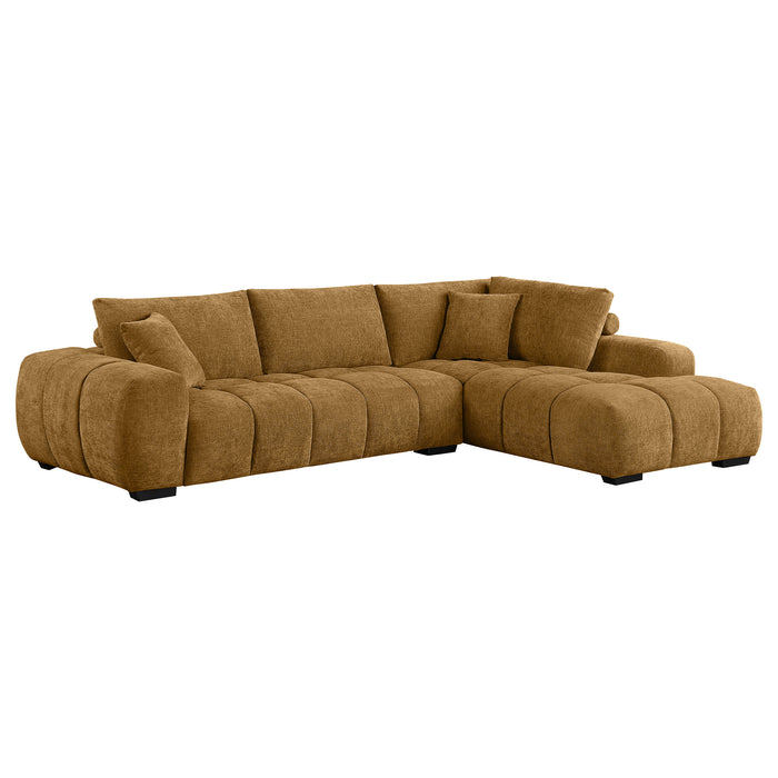 Camacho Stationary Sectionals