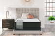 Limited Edition Firm Mattress - Zara Furniture (Kissimmee,FL)