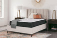 Limited Edition Firm Mattress - Zara Furniture (Kissimmee,FL)