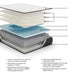 Limited Edition Plush Mattress - Zara Furniture (Kissimmee,FL)