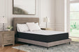 Limited Edition Plush Mattress - Zara Furniture (Kissimmee,FL)