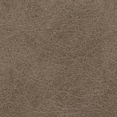 Navi Sofa Sleeper - Zara Furniture (Kissimmee,FL)