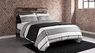 Neilsville Panel Bed - Zara Furniture (Kissimmee,FL)