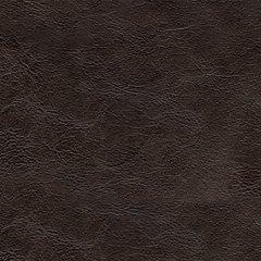 Nicorvo Loveseat - Zara Furniture (Kissimmee,FL)