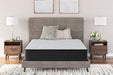 Palisades Plush Mattress - Zara Furniture (Kissimmee,FL)