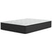 Palisades Plush Mattress - Zara Furniture (Kissimmee,FL)
