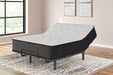 Palisades Plush Mattress - Zara Furniture (Kissimmee,FL)