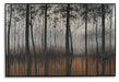 Philyra Wall Art - Zara Furniture (Kissimmee,FL)