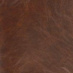 Sidewinder Accent Chair - Zara Furniture (Kissimmee,FL)