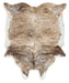 Sportsmen 6'5" x 7'11" Rug - Zara Furniture (Kissimmee,FL)