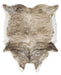 Sportsmen 6'5" x 7'11" Rug - Zara Furniture (Kissimmee,FL)