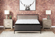 Ultra Luxury PT with Latex California King Mattress - Zara Furniture (Kissimmee,FL)
