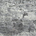 Wadyka 7'10" x 10'3" Rug - Zara Furniture (Kissimmee,FL)