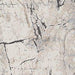 Wyscott 5'3" x 7'3" Rug - Zara Furniture (Kissimmee,FL)