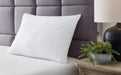 Zephyr 2.0 Comfort Pillow (4/Case) - Zara Furniture (Kissimmee,FL)
