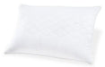 Zephyr 2.0 Comfort Pillow (4/Case) - Zara Furniture (Kissimmee,FL)